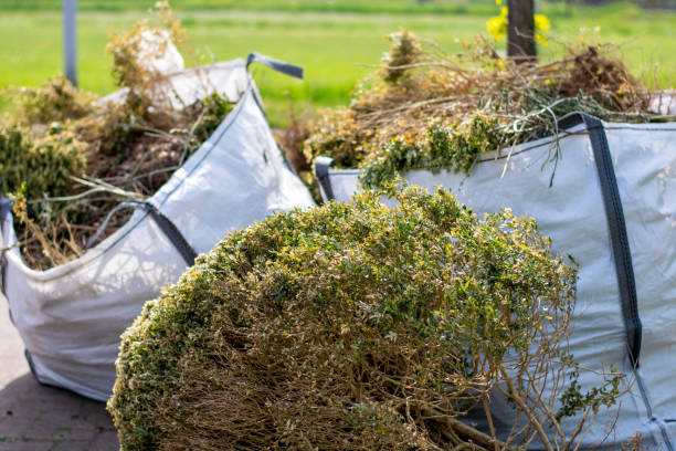 Best Shed Removal  in Parsons, TN